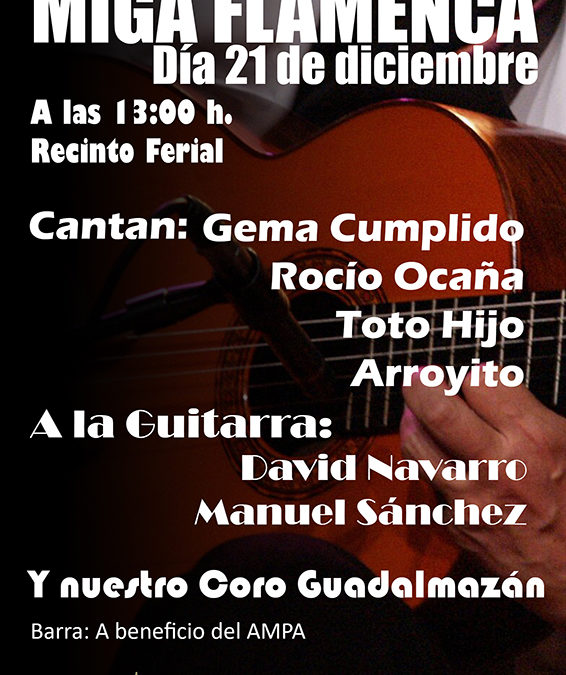 Miga Flamenca 2014