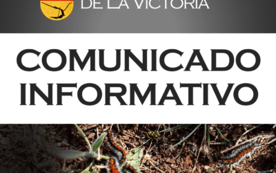 COMUNICADO | ORUGAS EN ZONA COLEGIO “JOSÉ A. VALENZUELA”