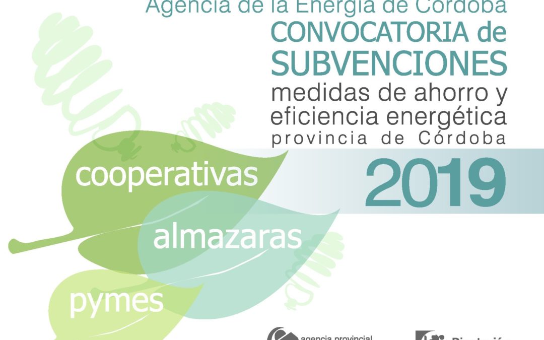 CONVOCATORIA DE SUBVENCIONES DE MEDIDAS DE AHORRO Y EFICIENCIA ENERGÉTICA 1