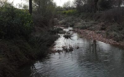 La Confederación Hidrográfica del Guadalquivir actuará en los arroyos de la Torre y Cañada de Gregorio en La Victoria para aumentar la capacidad hidráulica